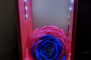 flower_box
